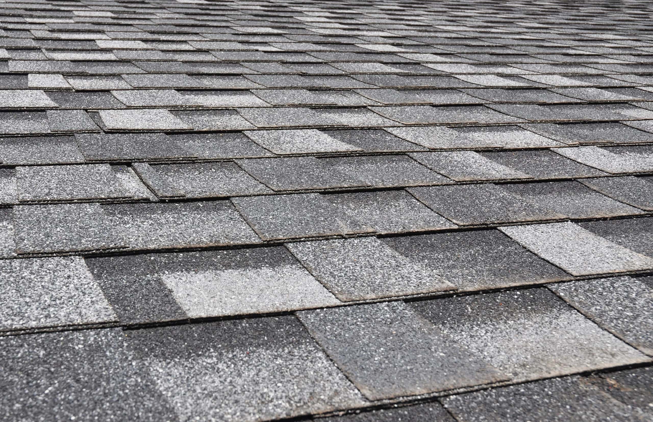 Storm Damage Repair in Charleston, SC - Revive Roofing & Exteriors